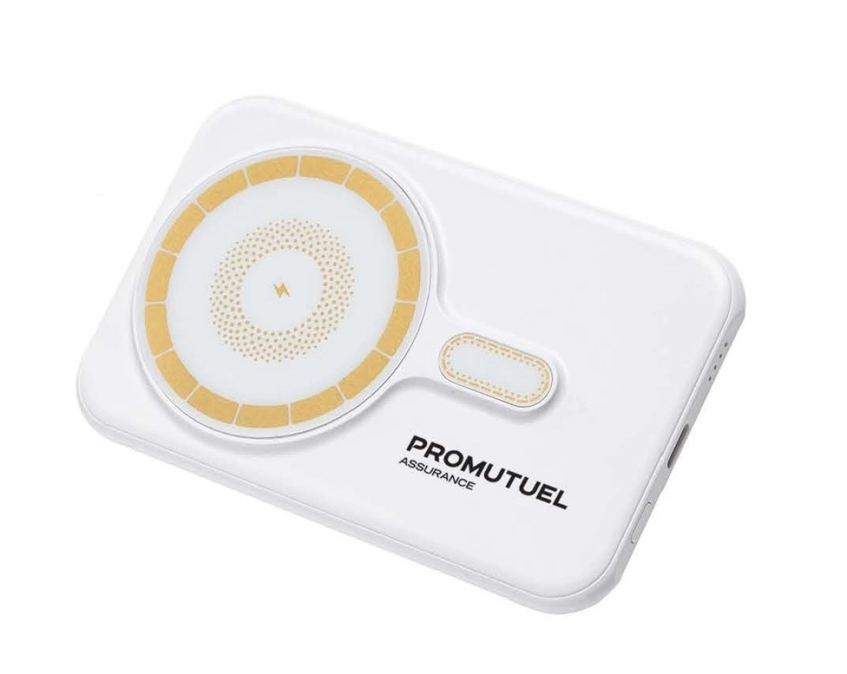 Batterie portative mince